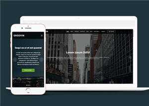 创意咨询代理公司响应式网页模板 - 项目资源网