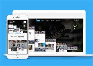 大气简约轮滑培训公司网站模板 - 项目资源网