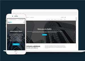 商务代理项目服务响应式网页模板 - 项目资源网