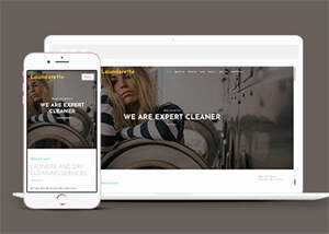 简洁服装洗涤清洗公司网站模板 - 项目资源网