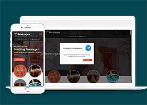 响应式鸡尾酒公司网站模板 - 项目资源网