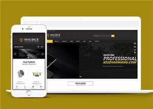 简洁响应式灯具公司前端模板下载 - 项目资源网