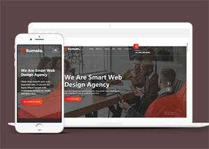 web软件应用开发公司网站模板 - 项目资源网