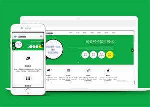 简洁品牌策划类网站前端模板下载 - 项目资源网