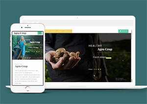 足球运动直播网站响应式模板 - 项目资源网