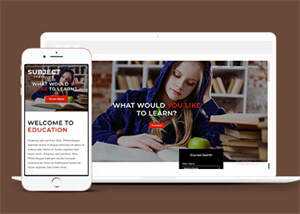 简洁图书馆在线书城网站模板 - 项目资源网