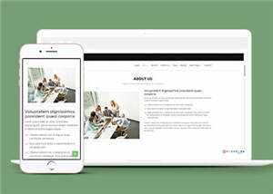 网页设计优化机构响应式网页模板 - 项目资源网