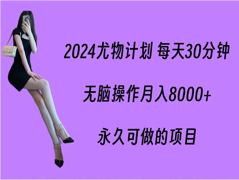 2024尤物计划 每天30分钟，无脑操作月入8000+，永久可做的项目 - 项目资源网