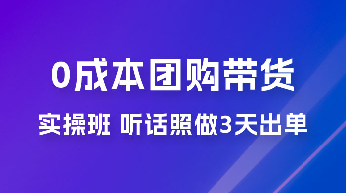 点金手 0 成本团购带货实操班，听话照做 3 天出单 - 项目资源网