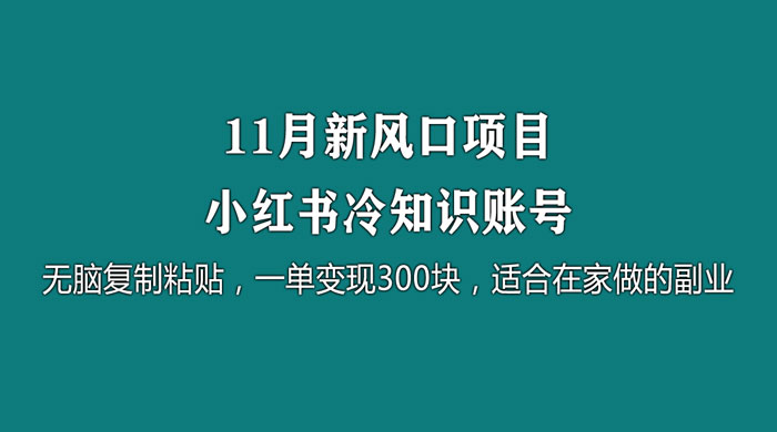 11 月新风口项目，小红书冷知识账号，无脑复制粘贴，一单变现 300 块，适合在家做的副业 - 项目资源网