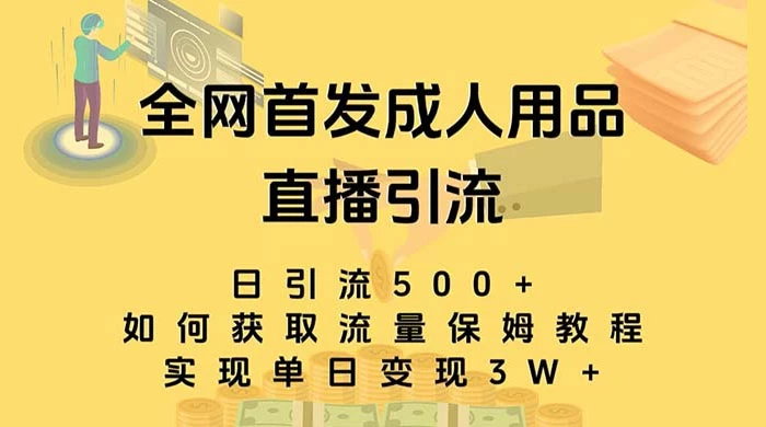 成人用品直播引流获客暴力玩法，单日引流500+，变现 3w+，保姆级教程 - 项目资源网